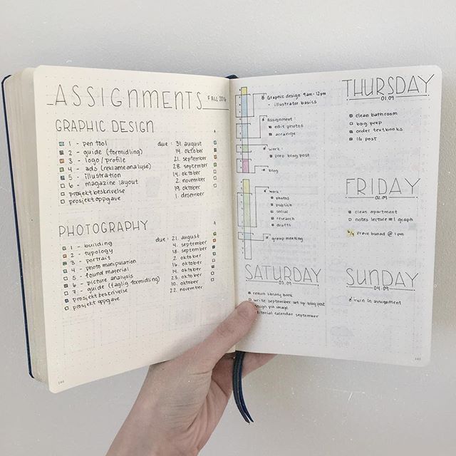 assignment notebook